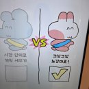 료미광안점스컹크웍스 | 황리단길 할 거 추천 수키도키 팝업 후기 | 경주 주말 나들이 코스