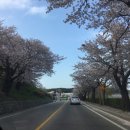 강릉아리솔게스트하우스 이미지
