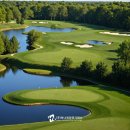 뉴코리아실외 이미지