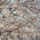 임학공원(임학정) 이미지