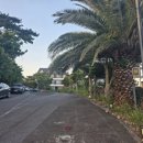 3.4.1글로리아 이미지