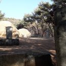 사리실 농장 이미지