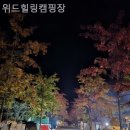 위드힐링 | [영월/캠핑장] 위드힐링캠핑장 도심을 벗어나 별빛 아래에서 쉬다