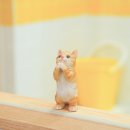 고양이분양전문달루나캣츠 - 마포구 서강로 79 | 고양이분양전문달루나캣츠