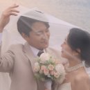 영스냅 - 강남구 논현로164길 16 | 영스냅