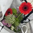 부산 야외 웨딩스냅 촬영 고다큐 후기(with.달래줄래 헬퍼)