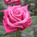 고양1호농장 이미지