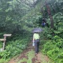 함평이야기 이미지