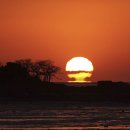 행운의 로또 이미지