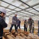 생명살림집 이미지