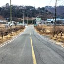 두량저수지 | 진주,사천 바베큐 샌드위치 맛집 럽 앤 바크 방문 후기+근처 가볼 만한 곳,꽃놀이