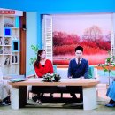 피어리대구결혼정보회사 이미지