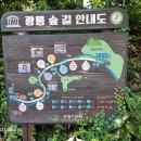 포천시 국립수목원 (3/3) 이미지