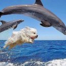 수영세차장 이미지