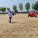 수촌초등학교 이미지