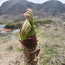 원순농장 이미지