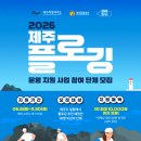 제주M.L.S