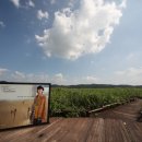 구름이 쉬어가는 곳 이미지