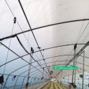 한국그린테크 이미지