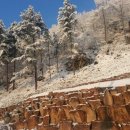 새솔펜션 이미지