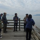 장선포1 이미지