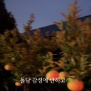 돌랑채 | 제주 애월 감성숙소 돌랑채 후기 프라이빗 자쿠지와 불멍까지, 제대로 힐링하고 온 제주 독채 숙소