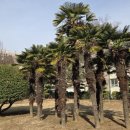 부경대학교 학생생활관(세종관) 이미지