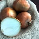 중대농장2 이미지