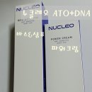 주식회사건성