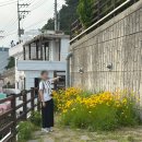 영선기사식당 | 부산 영도 사진명소 흰여울문화마을 흰여울길 포토존 공사