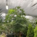 서울화원 이미지