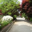 서곶초등학교 이미지