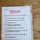 분당 석운동 베이커리 카페 <릴리브라운> 후기
