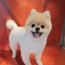 경희또봄한의원 이미지