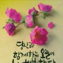 시에스타 - 안동시 봉정사길 5 | 시에스타