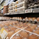 수일 농장 이미지