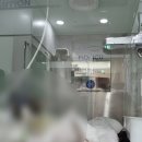 통일동물병원 이미지