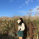 씨유제주삼주점 | [10-3] 패밀리 제주 🫶🏻