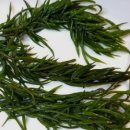 구암동347 이미지