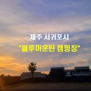 블루마운틴4255