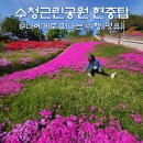 꽃과사람들 | 오산 수청근린공원 현충탑, 철쭉꽃과 금잔디 구경 후기