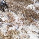 260124 광주 무등산 눈 꽃&amp;길 산행 이미지