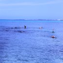 금능맛차롱 협동조합 이미지