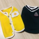 러브아지 이미지