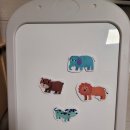 YS 동물병원 이미지