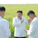 월랑농장 뉴시스
