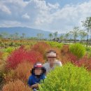 낙동강변 축구장 1 이미지