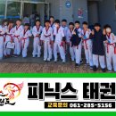피닉스태권도장 이미지