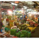 제주풍경스케치 이미지