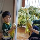 (주)파차이 이미지